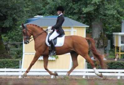 JSM 2010 Foto: Elena Garcia Peterson