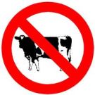 no cows