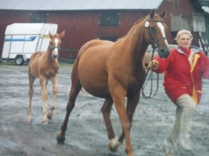 Mia med Gardenia och Nalle på Elmia 1993