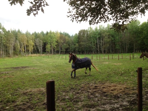 DC träffar Tiramisù 1