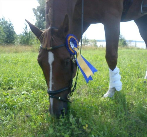 Don Cameron DC seger Don Cameron DC seger