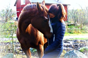 Ichtaka, den enda av galoppörerna jag inte ridit idag :)