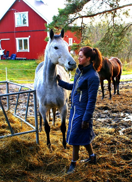 Loi och Ellen Loi och Ellen