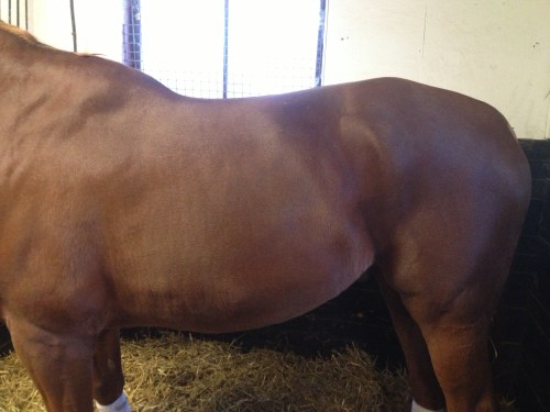 6. DC 22 december 2012