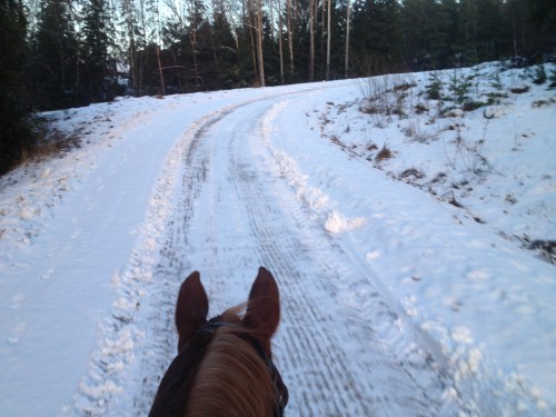 Även i uppförsbacken hade DC superbra grepp och ville helst trava