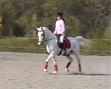 Grållen och lilla jag tränar program :)