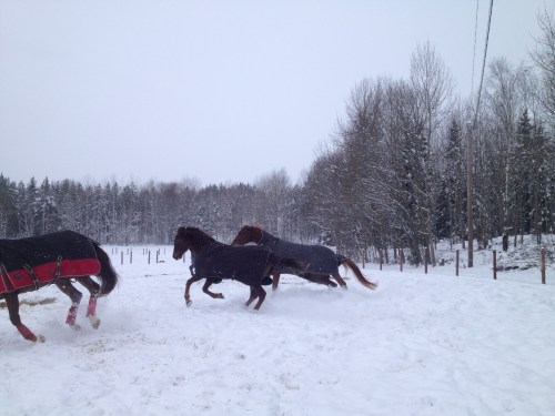 DC och Lillie på språng