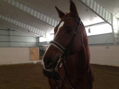 DC på BB-träning 2013-02-19