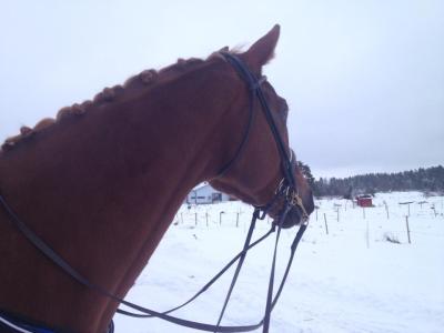 Kul att åka på äventyr!