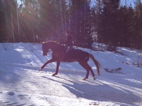 DC galopperar i backen 27 mars 13