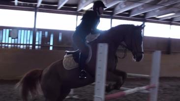 Jag hoppade Camillas Quasino i lördags