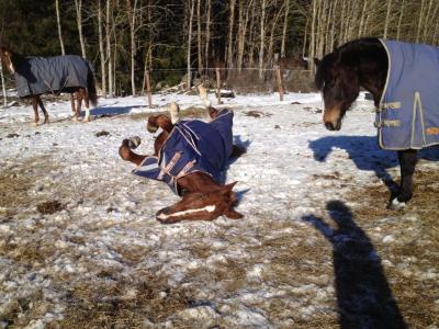 Rullar sig m Dixie o Tira