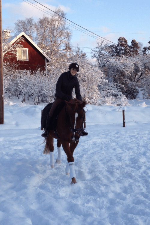 LLsIphone 130530 1377