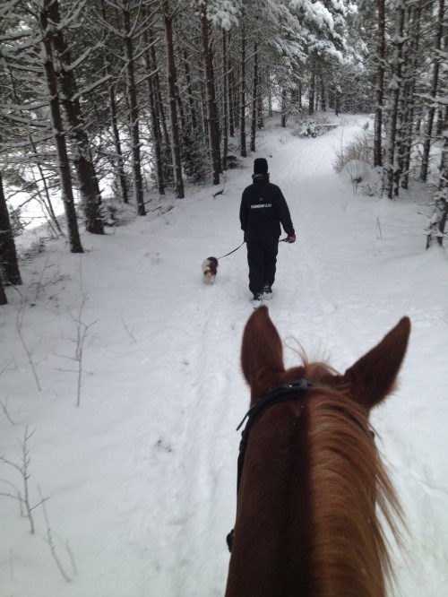 LLsIphone 130530 1518