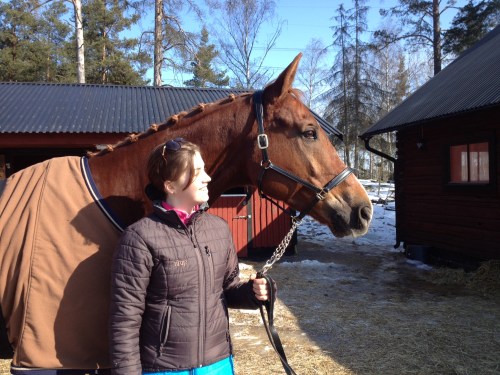 LLsIphone 130530 1988