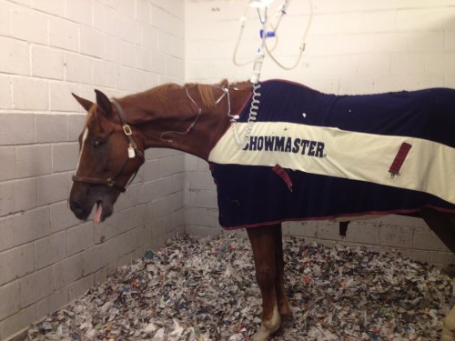 LLsIphone 130530 755