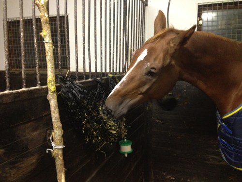 LLsIphone 130530 888