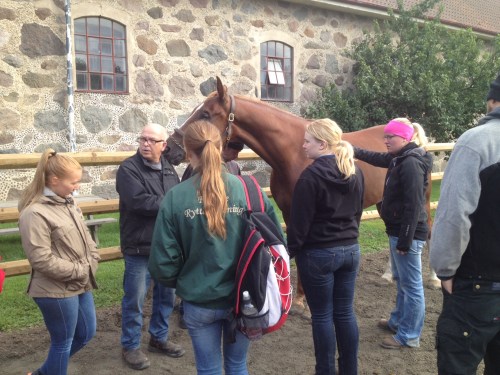 dc exteriörbedömning