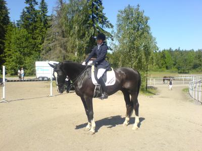 Högvreten Msvdebut 706003 001