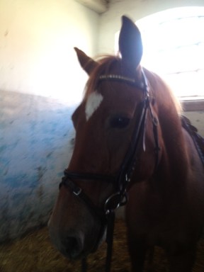 Inte vacker som jag, men lite gullig