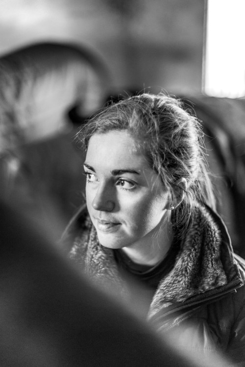 Louise Lindström förbereder en unghäst för ett ridpass