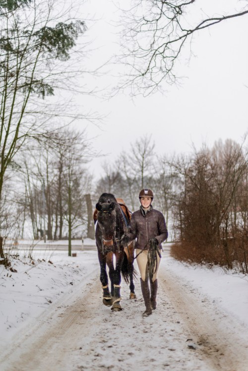 Louise Lindström leder hingsten Con Ritmo mellan ridhus och stall