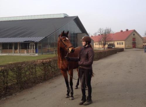 Zunshine 1a löshoppningen