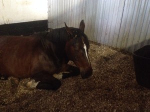 Trött 4-åring efter dagens pass