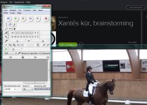 Sommaren 2015 snickrade vi ihop en Intermédiaire I-kür åt Xanté och red den på 67,125%, i Dressyrringens kürcup på Everlövs midsommartävlingar