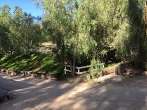 13094296_1195378903841665_7829952092831137802_n