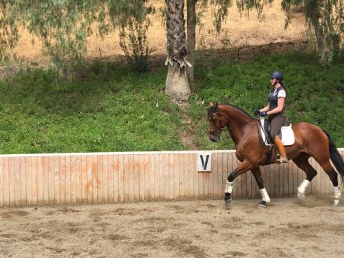 13318490_10157050112760473_414301969_n