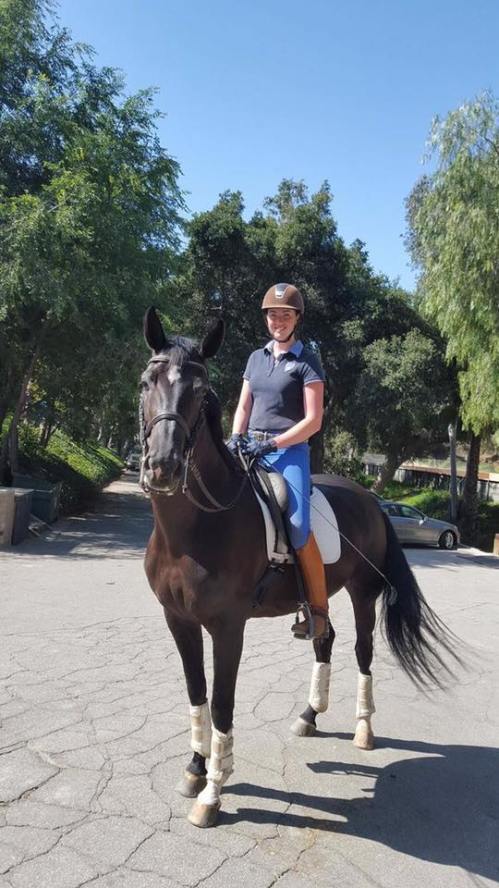 13327474_10157039271725473_5736536762275773431_n