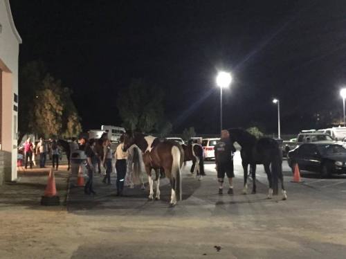 Evakueringscentret, foto Anna Blomdahl