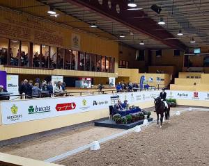 Sir Doriol på banan. 5-årschampionatet på Flyinge